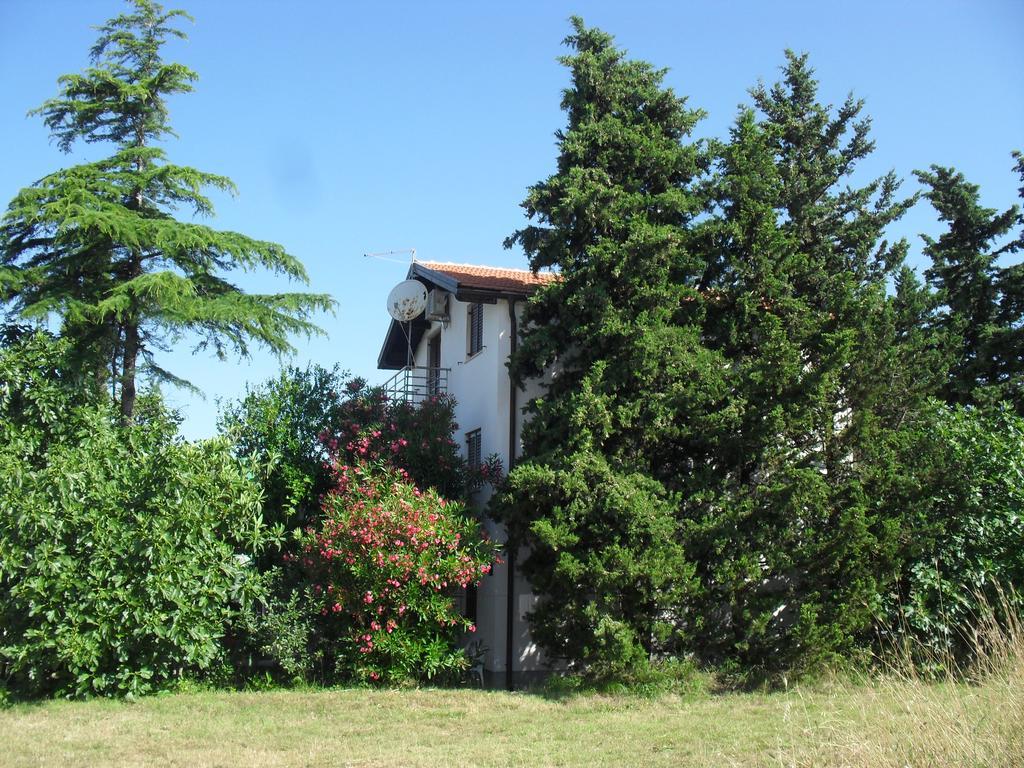 Apartment Lana Privlaka  Exteriör bild